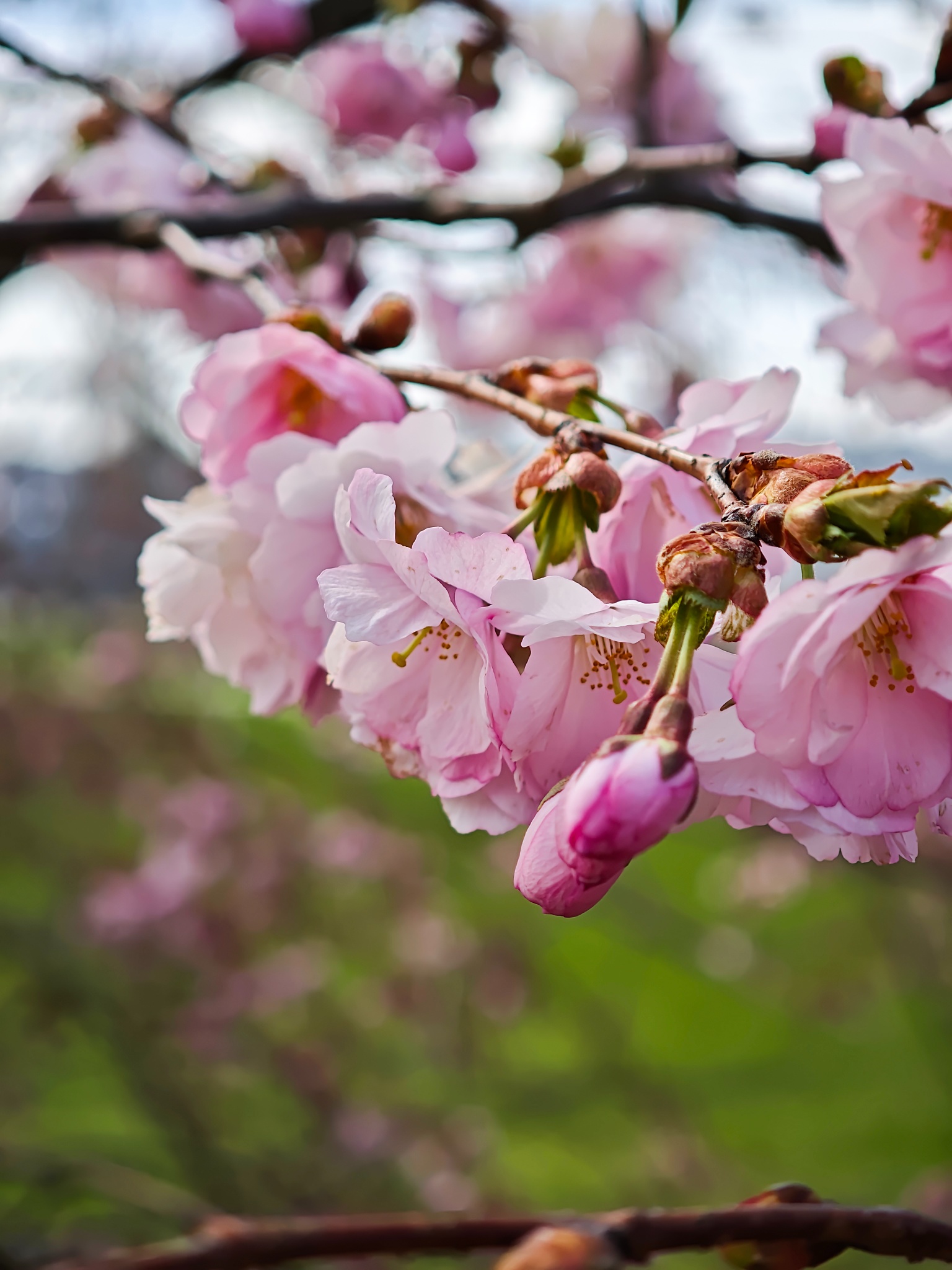 MVIMG 20250427 135713 copy